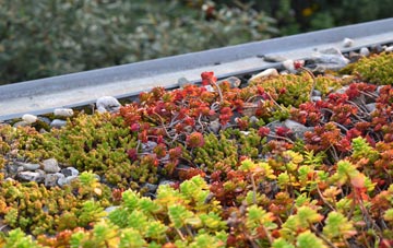 the cost of Walpole green roof installation