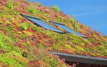 Walpole living roof systems