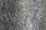 Walpole fibreglass roof work